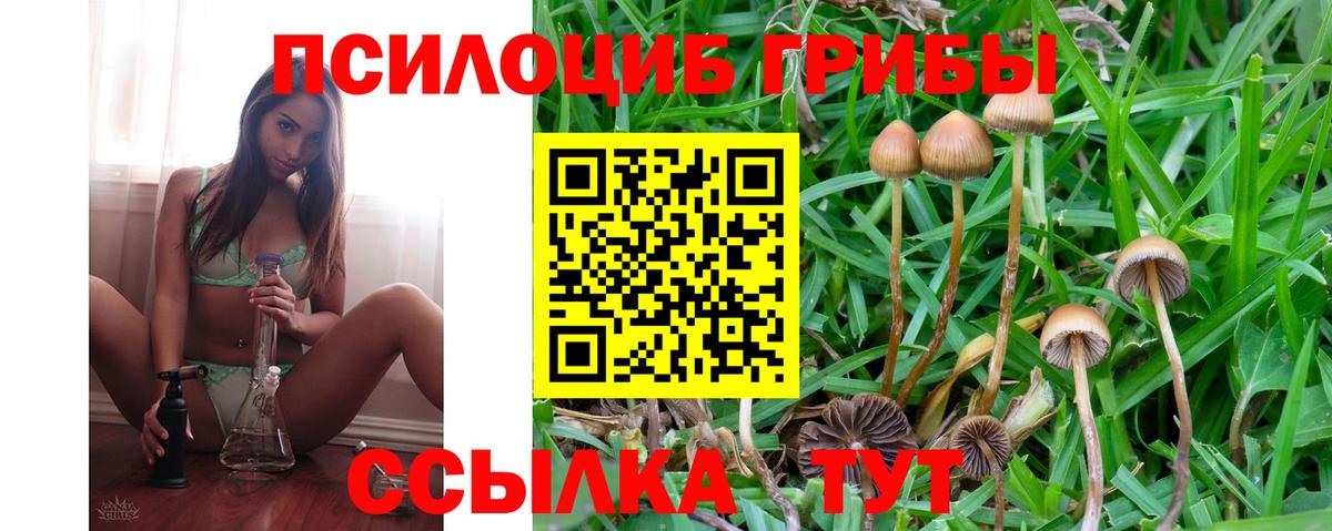 Псилоцибиновые грибы Magic Shrooms Десногорск