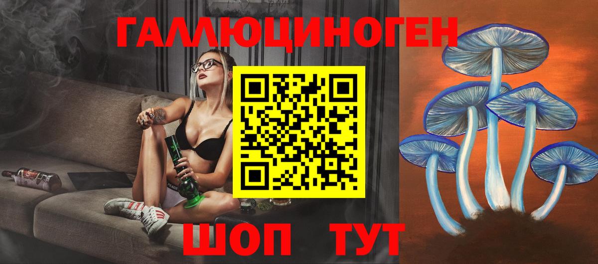 Десногорск  Галлюциногенные грибы Psilocybe  Вход с VPN 